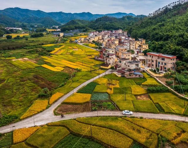 秋日限定！速来围观肇庆的绝美风光~