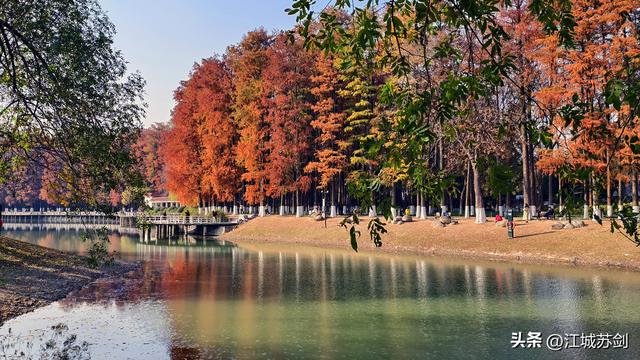 霜影下的城市绯霞