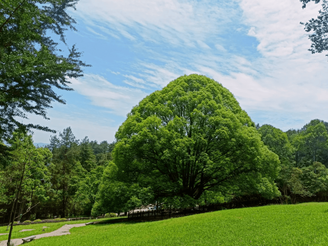 14个免费公园遛娃全攻略：看猴、玩水、露营、徒步一次集齐！速藏