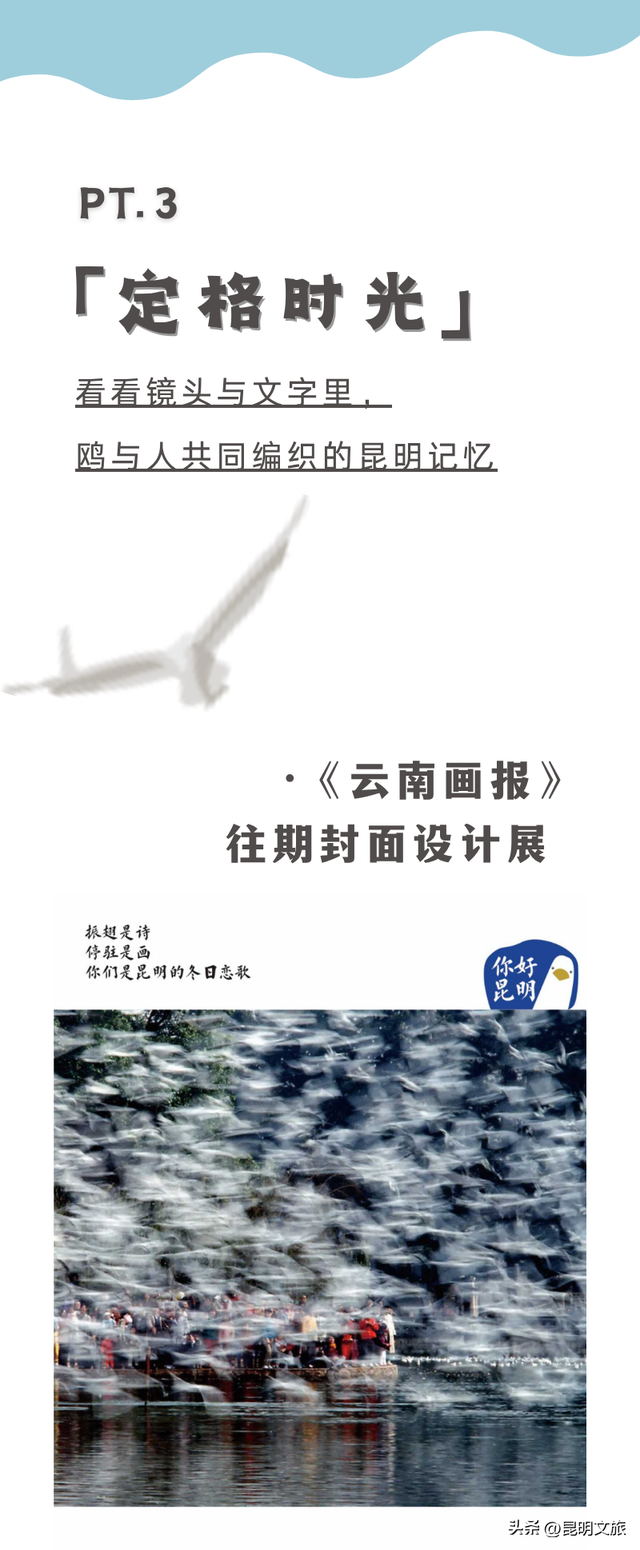 活动预告 | 春城生活主义 ·「 鸥遇正好 」