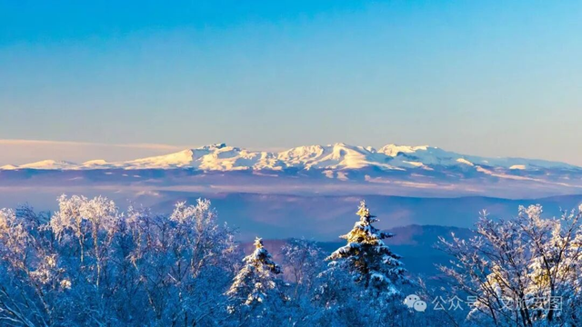 雪假来安图，雾凇、粉雪、暖炕，浪漫到失语！