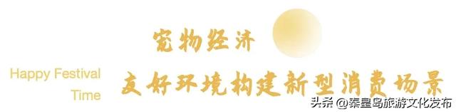 月华滨海共潮生｜文艺海岸与康养新城的双节献礼——北戴河新区2025国庆中秋假期旅游市场精彩回顾
