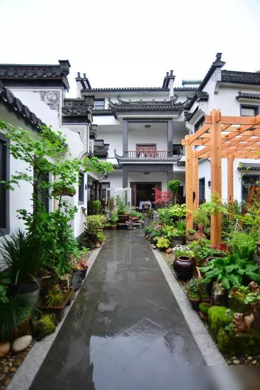 “家养6种花，不富还败家”，平常养的这些花，原来都“不吉利”