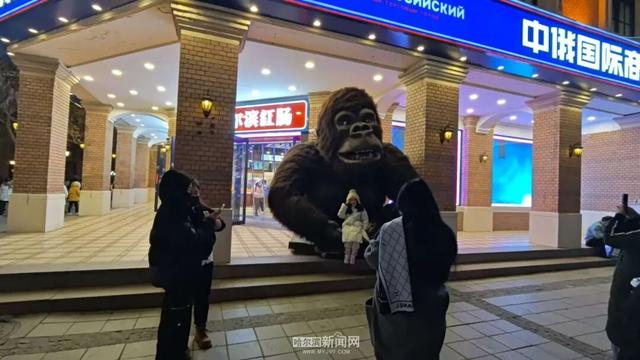 哈尔滨位列冬季热度上涨最快十大目的地