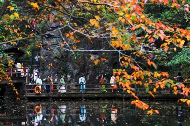 40条!浙江省名山公园精品线路发布