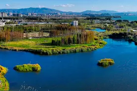 10元畅行滇池绿道，4月4日专线开通，滇池绿道专线来了！图片