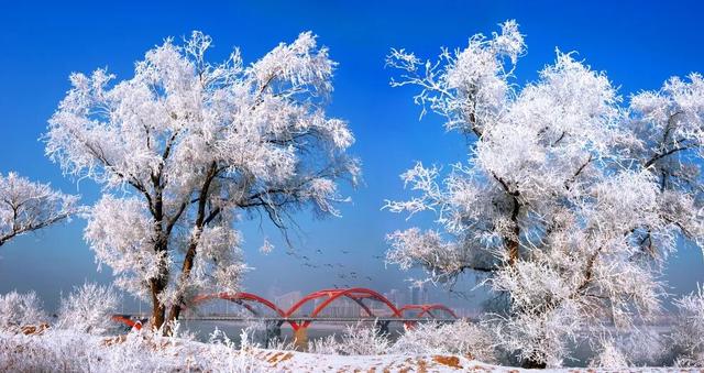 听劝！冬季的吉林市，闭眼冲就对了！