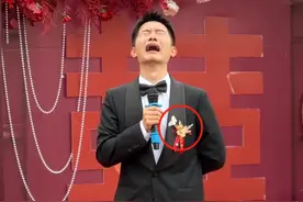 “外婆化作蝴蝶来参加我的婚礼了”……湖南新郎的这段婚礼视频，引全网泪目图片