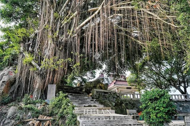 来泉州惠安别只去崇武古城！在这座千年古县登科山逛夜市！