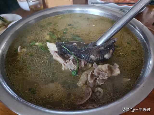 无为在歧路，免费仰天山