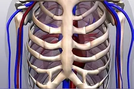 3种公认最疼的手术，全都经历过的是条硬汉，不妨提前了解一下图片