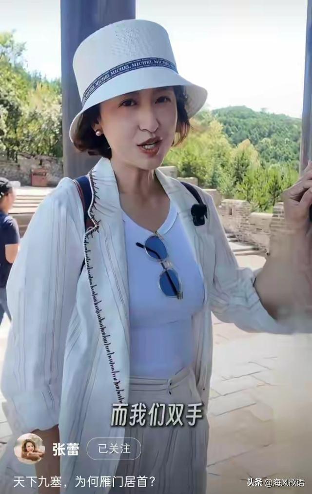 张蕾一身素白走雁门关古道，城砖上的刻痕，竟全是历史干货