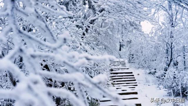 人气火，经济旺！汉中高颜值冰雪出圈→