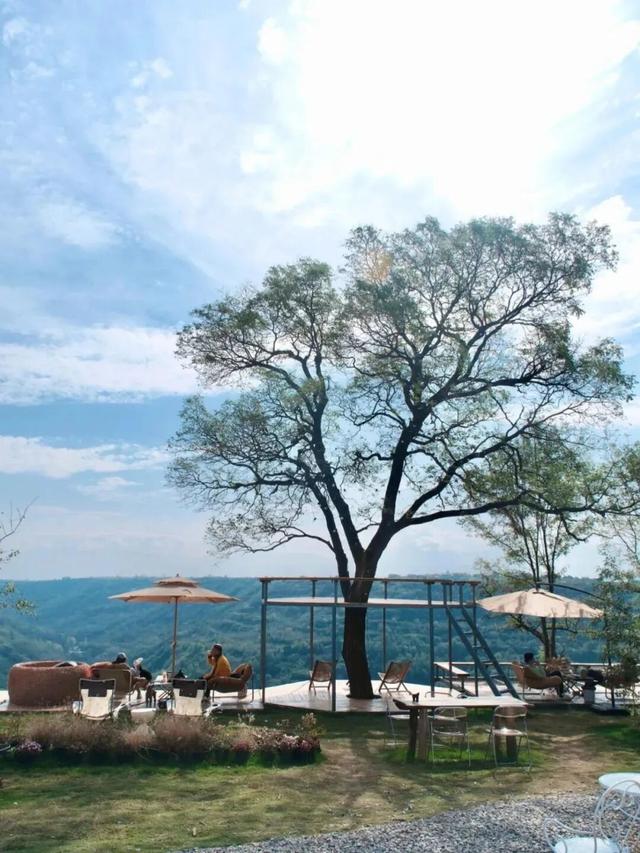 秋日限定美景，还不赶紧来拍？