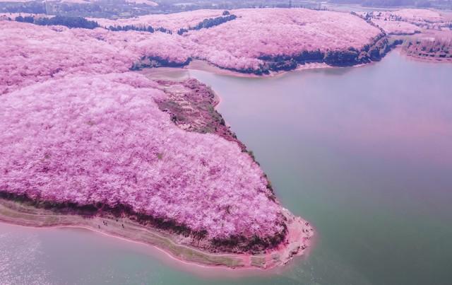 贵州私藏的5个秋色仙境，最后一个惊艳了千年时光！