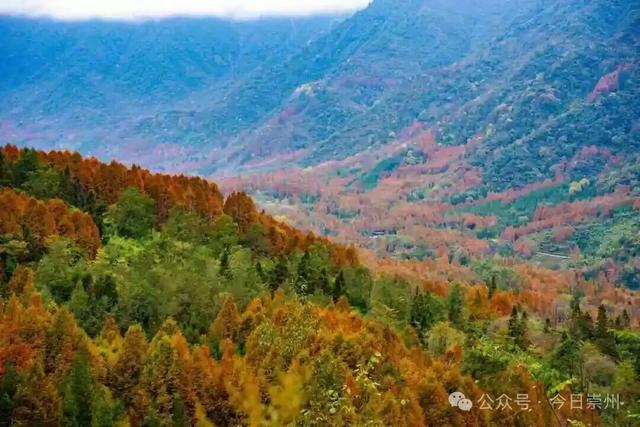 漫山彩林，琉璃坝的色彩美学