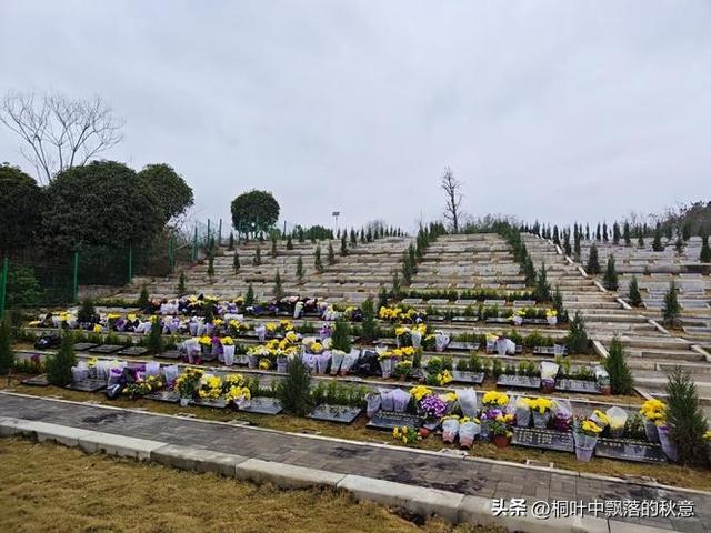 金沙县"死不起"？村民怒了！火葬流程引争议，官方紧急开会