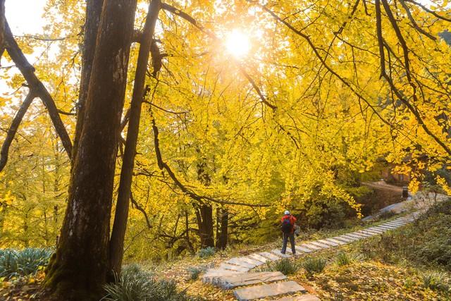 宜春人私藏的赏秋地图，这4个宝藏地，让摄影师都走不动路！