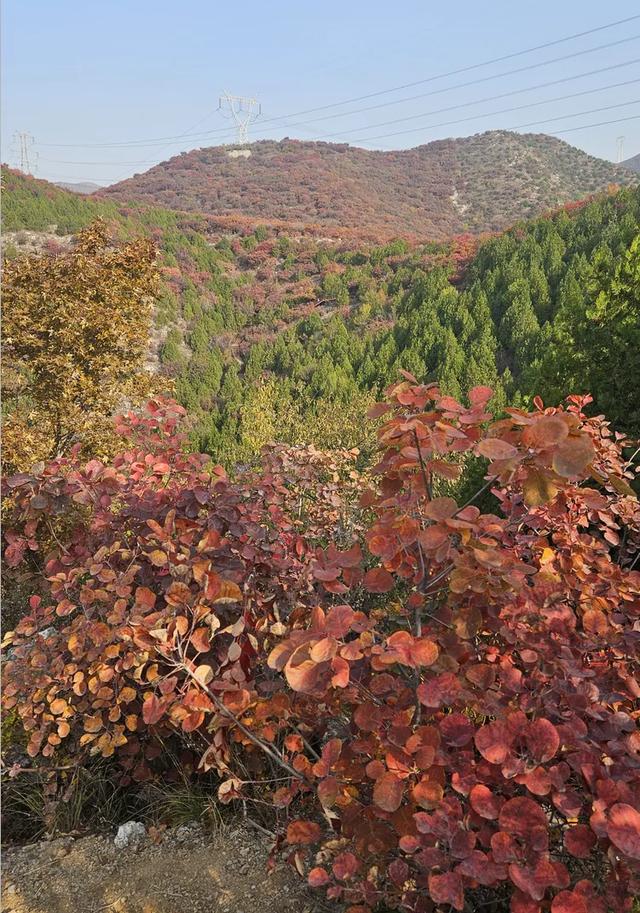 京郊红叶顶流已上线，这里已经美到窒息！避堵攻略速藏！