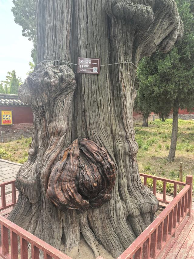 山东邹城游记