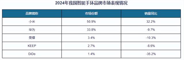 中国智能手环行业发展深度分析与投资前景报告（2025-2032年）