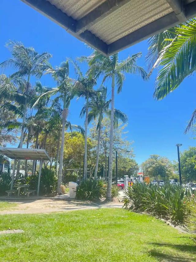 路上·布里斯班 ‖ 又出来赚小时来了