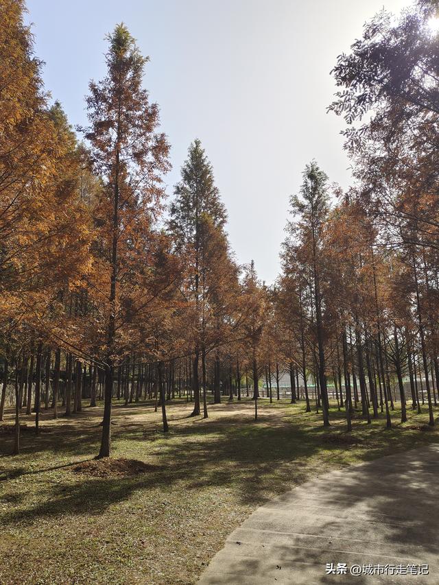 坐武局非空，21.8元游安陆城区
