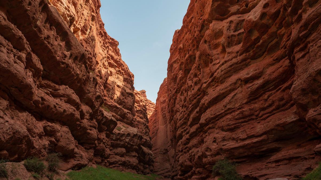 湘南荒山野岭火到韩国！本地人都少去，韩媒却眼红