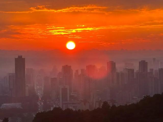 [广西 柳州市城中区]