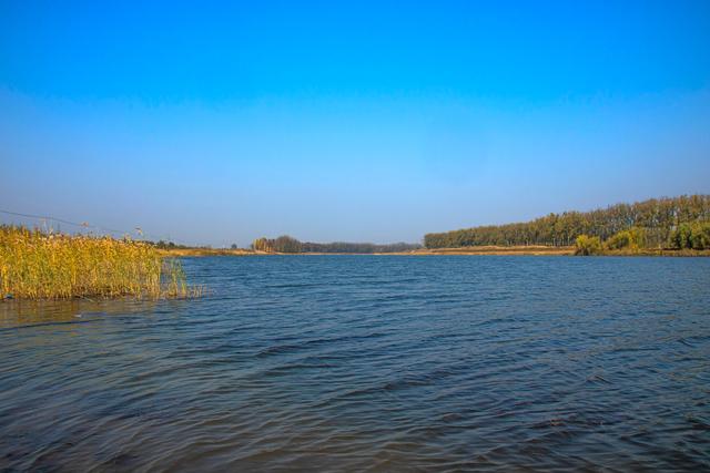 宿州黄河故道，被泥土封存的记忆，秋天充满诗意，是休闲游好去处