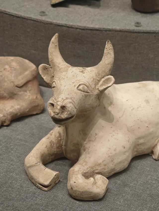 从广西博物馆到三街两巷【高清大图】