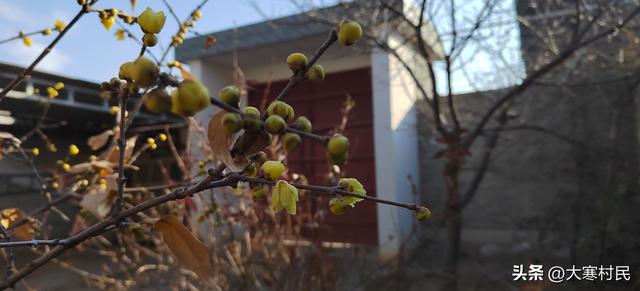 趁着火焰的放肆与热情