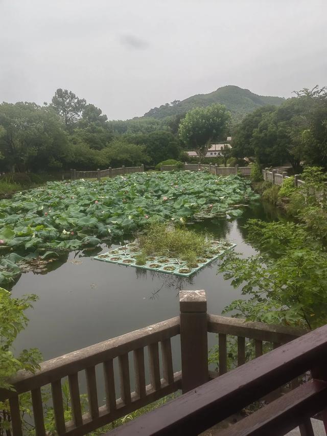 在余杭安溪参观宋代名人沈括墓园