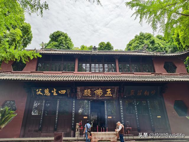 成都徒步（64）·新津篇③观音寺