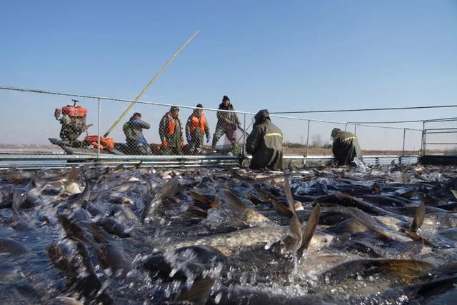 江北一知名景区限时免费！
