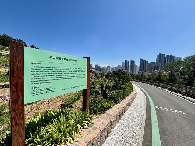 假日休闲哪里去？记一位大学女教授的假日休闲时光