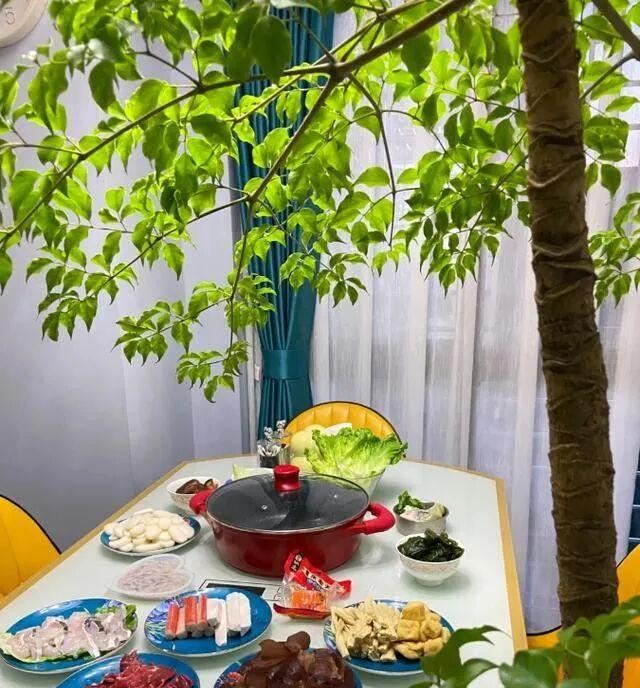 河北一太太，因在“客厅种大树”走红，好壮观，妥妥的视觉盛宴