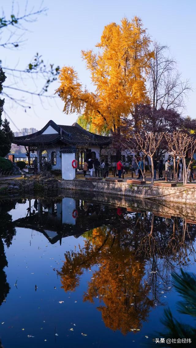 每日一景|封神赏景地·莫愁湖