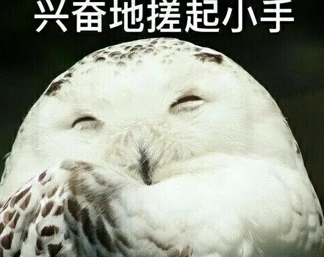 TOP3！超长春节假来了，昆明又成热门