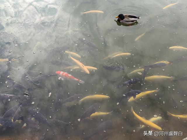 张掖*甘泉公园
