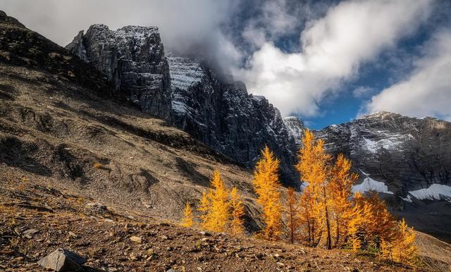 梦见已故亲人别慌！这3个暗示很准，尤其第3点常被忽略
