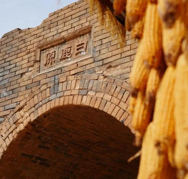 在白鹿原影视城开启你的一日“主角”之旅~