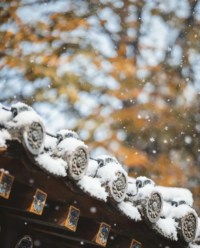 即将下雪！雪后的洛阳这么拍！8个超美打卡点...