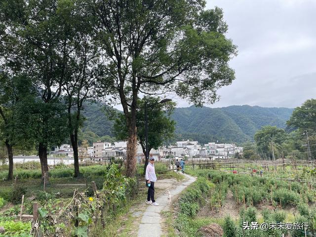 婺源｜2024年两人一狗北京自驾惠州第5站，不踩雷精华游路线