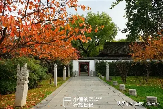 西安闹市四季皆美的秘境，秋色已斑斓！地铁直达0门票