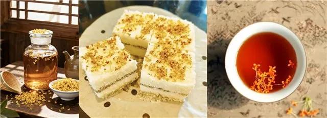 为什么路边的桂花你不能采?