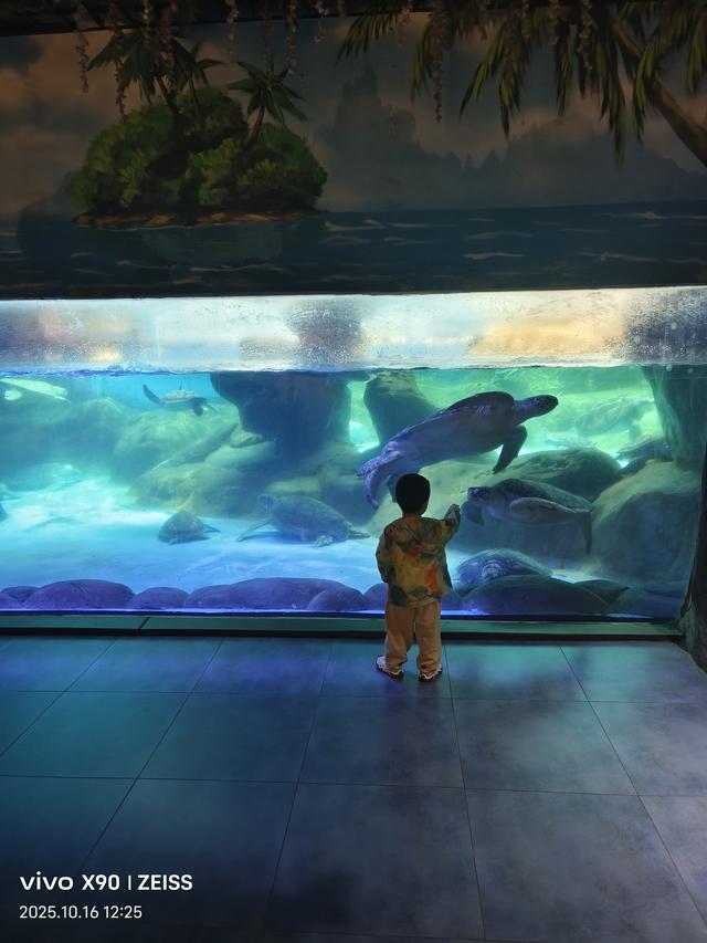 成都 极地海洋公园（58）2025年10月16日