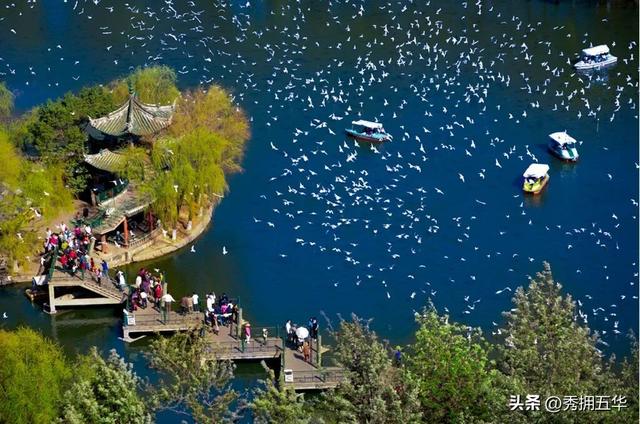 冬日氛围感拉满！跟着香港明星足球队，解锁翠湖海鸥+梧桐黄墙的浪漫剧本