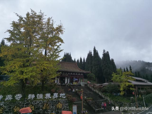 四川行(73)什邡红枫岭徒步到钟鼎寺