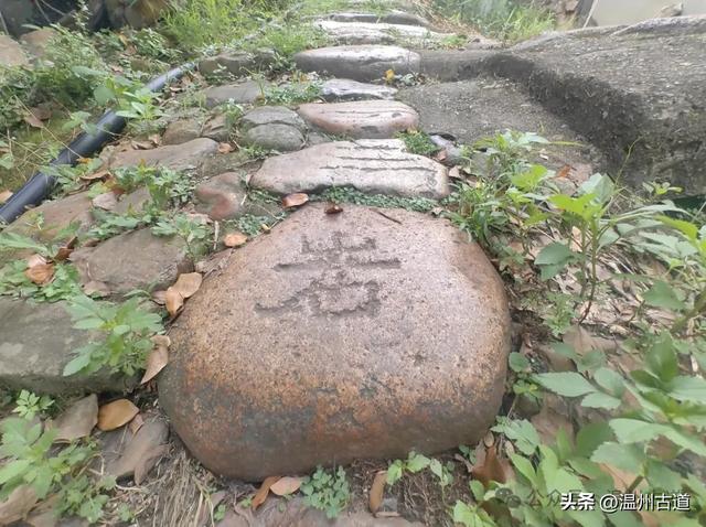 这里曾有最古老的水运历史、最繁华的商埠老街和新石器时代遗址！